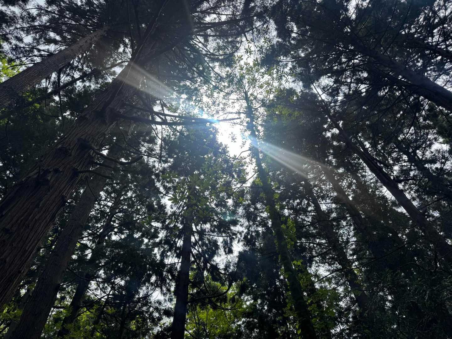 少し日が差してきた☀️
ゴールはもうすぐ。