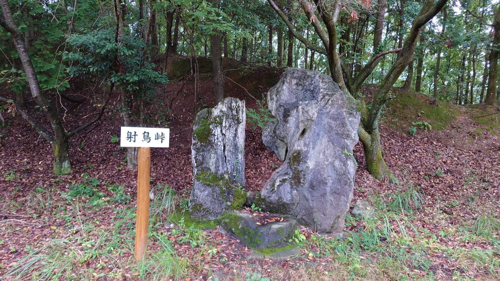 射鳥峠🤗
ここから先は私がリベンジしておきます😁👍
今日はイノシシは居ません😀