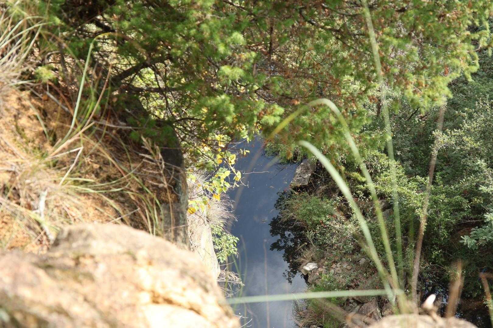 上から覗き込んだ丁場池