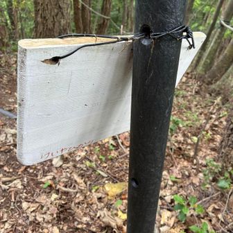 下山中、距離表示の裏に作成者の名前を見つけました。