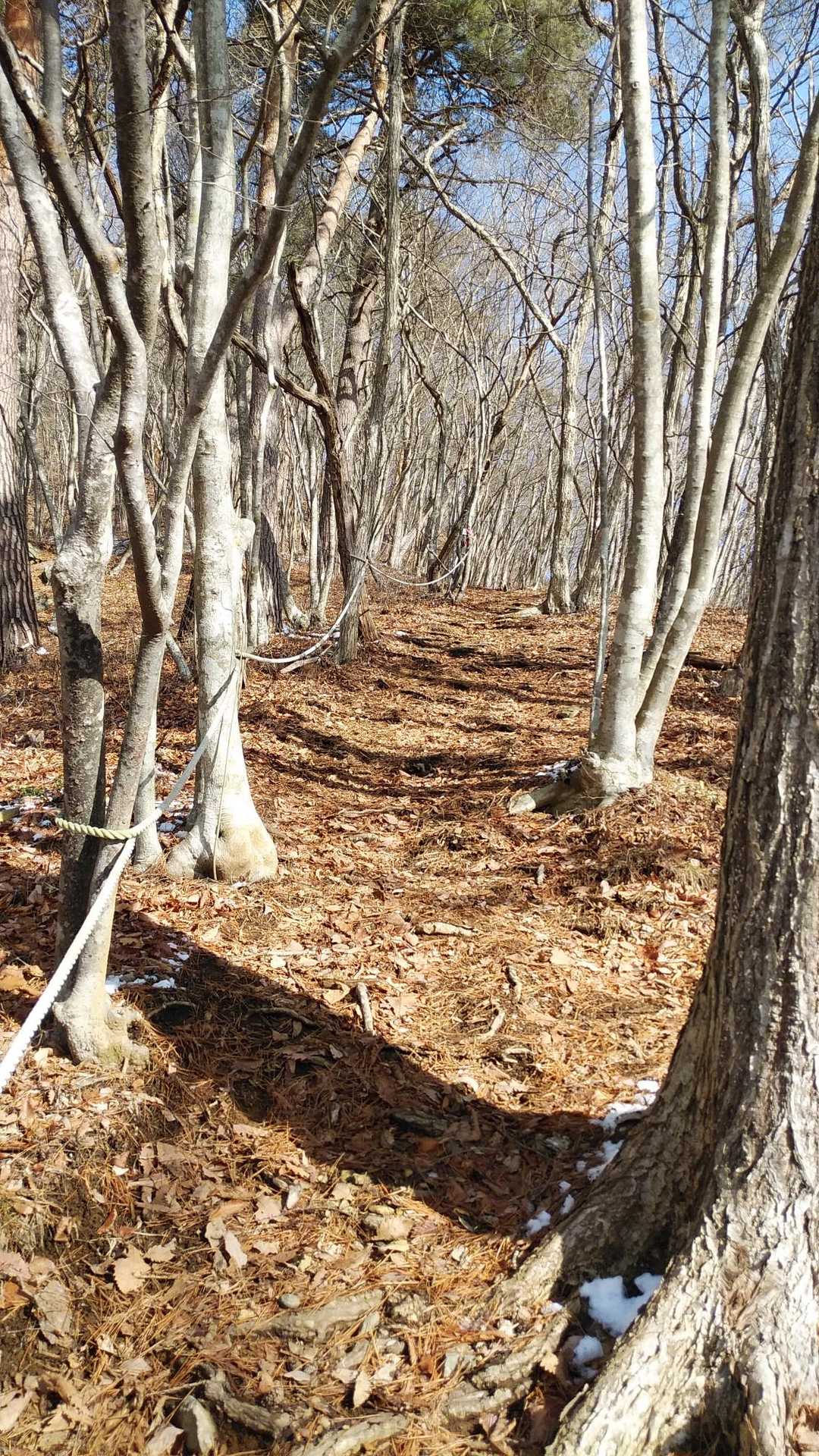 ここは余裕だったけど、この先ロープにつかまって進んだ箇所もありました