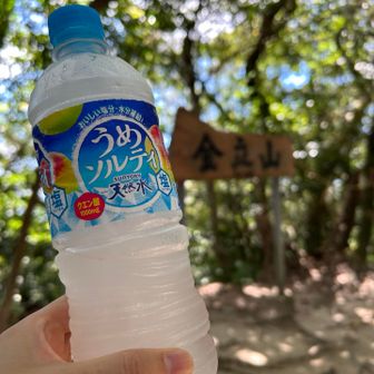 夏山にはコレがおすすめ。
ソルティライチより、こちらが私の体には合います。