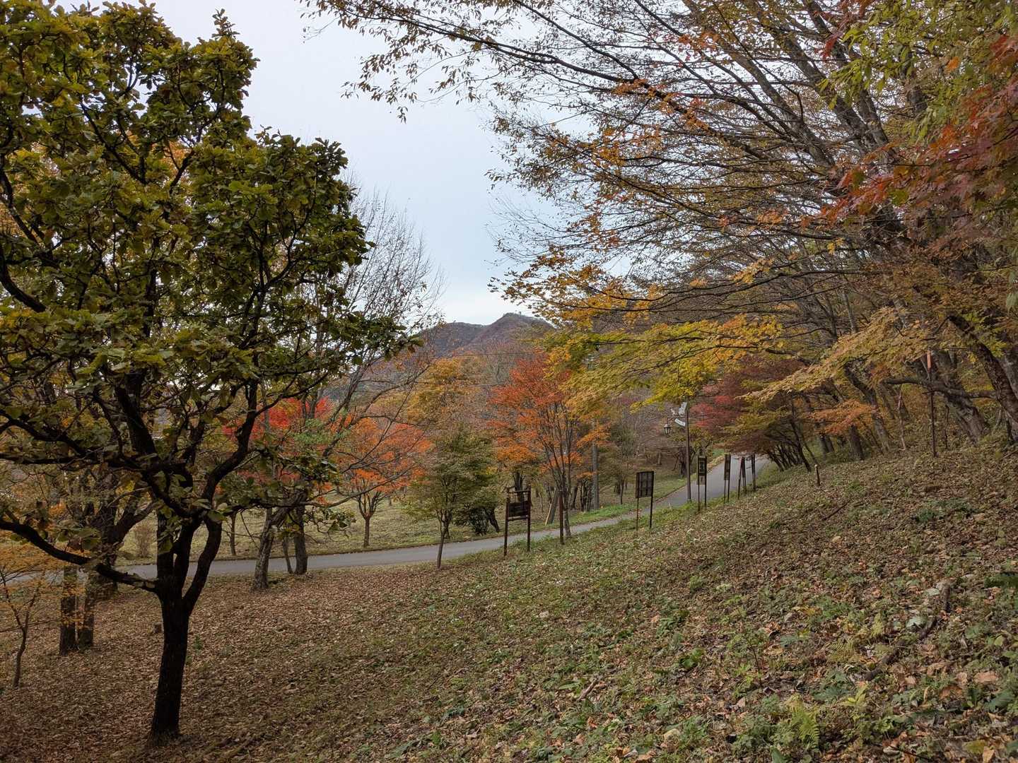 榛名富士登山口-榛名富士 往復コースの写真