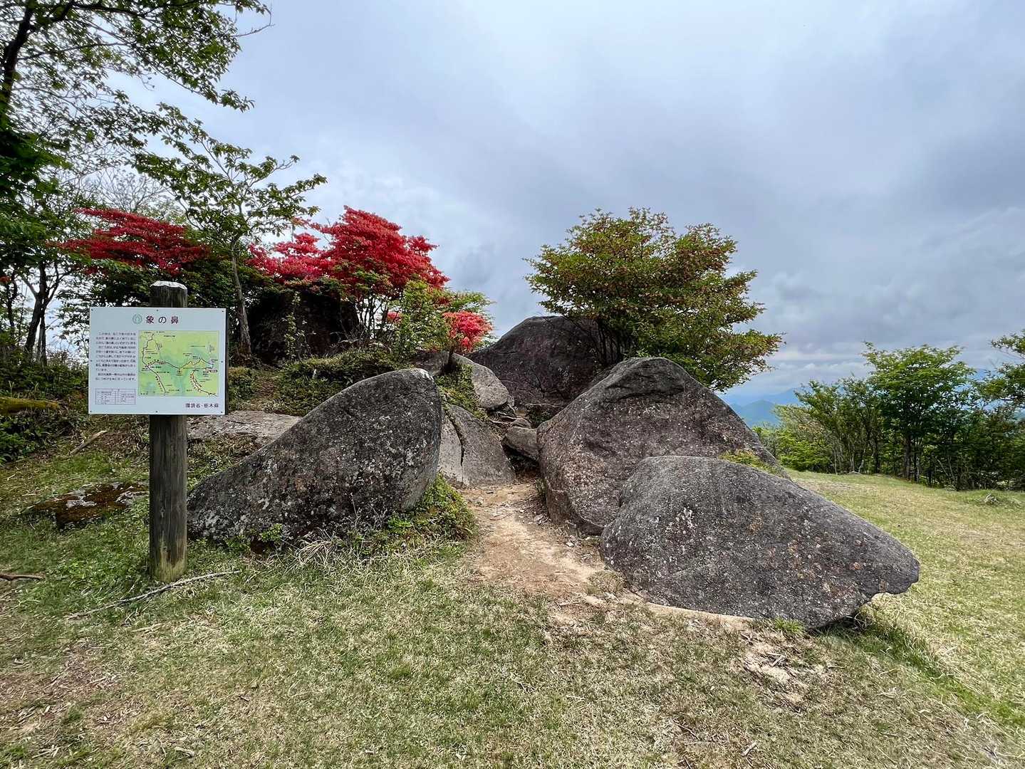 象の鼻･･･鼻🧐こちらから見た形で良いのでしょうか⁉︎そうですねぇ🤔なんとなく、分かるような🐘

写真毎にツツジが写っていますが、
こんな感じで終始ツツジだらけでした♪

花々に足を止めすぎて、のんびりしすぎて･･･
帰らなきゃ！とふと我に返った辺りです🤭