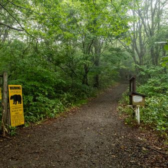 最初は林道のような登山道