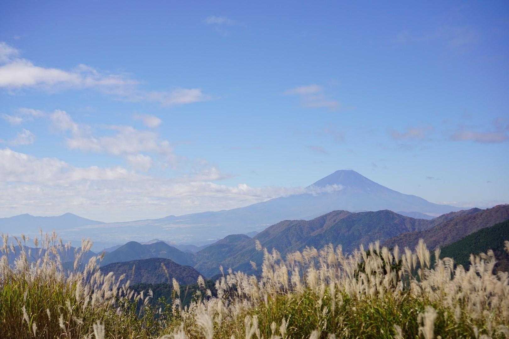 こちらも秋だね😊