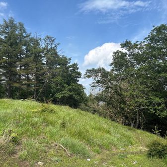 夏空が眩しかった