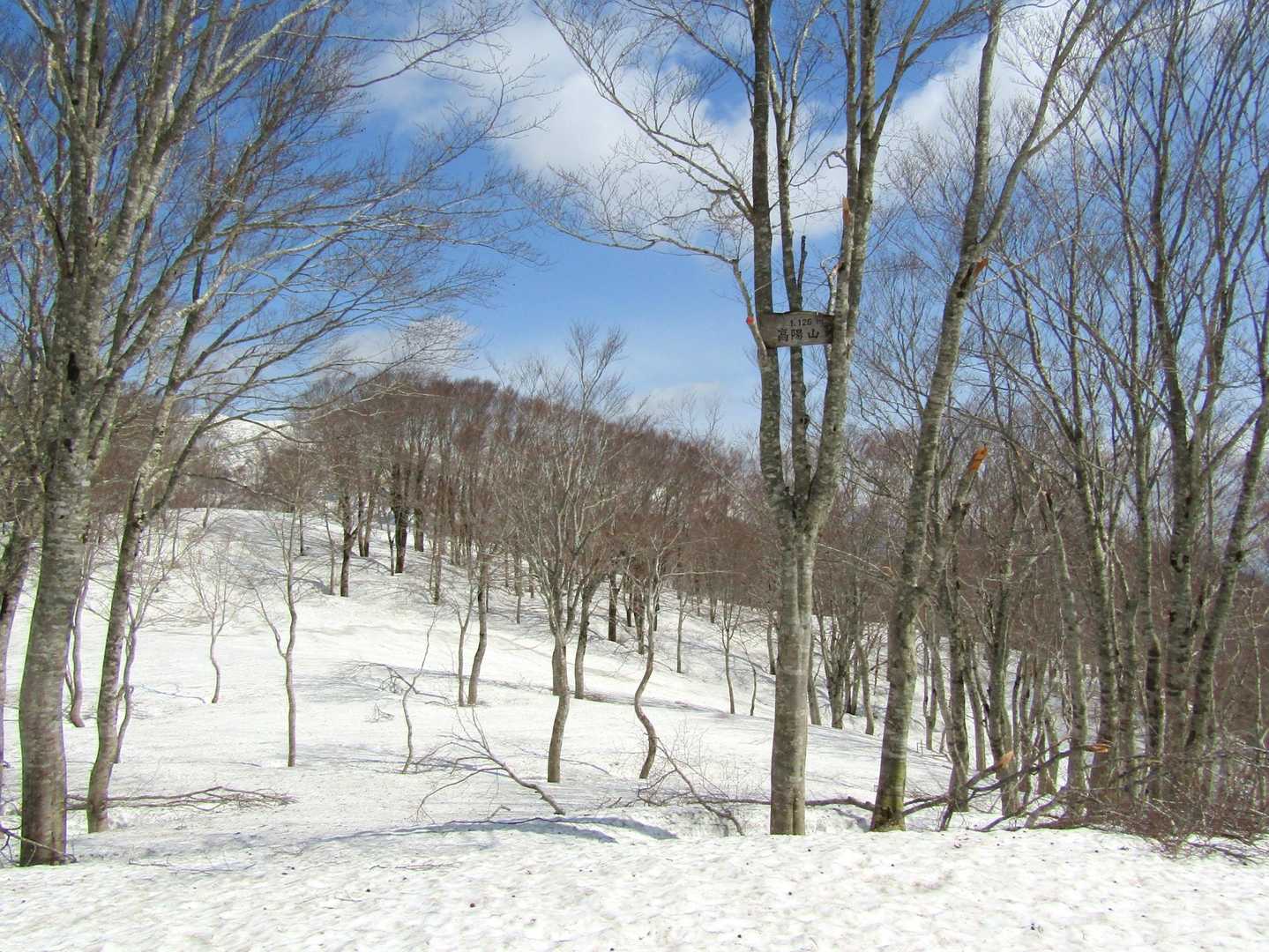 山頂に到着です👣
いやー長かった💦　この山でこんなに苦労したのは初めて