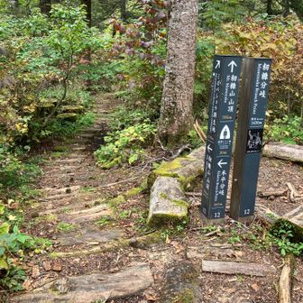ミズバショウの群生地があるようだ。
6月頃に見に来たい。
とにかく、山頂を目指します。