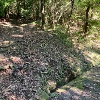 ここから登山道へ