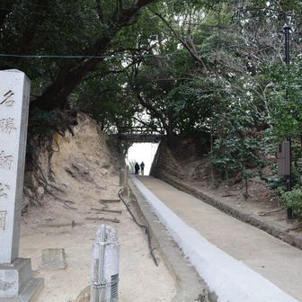 ここからスタート