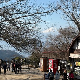 高尾山頂

今日は初めてベアフット（裸足感覚の）シューズ、MERRELLのTRAIL GLOVE7を履きました
厚底マラソンシューズで走ってたけど、なんだか腰が痛くなったりして‥
私には底がないほうが体に良いみたい
そして楽しい‼️クセになりそう