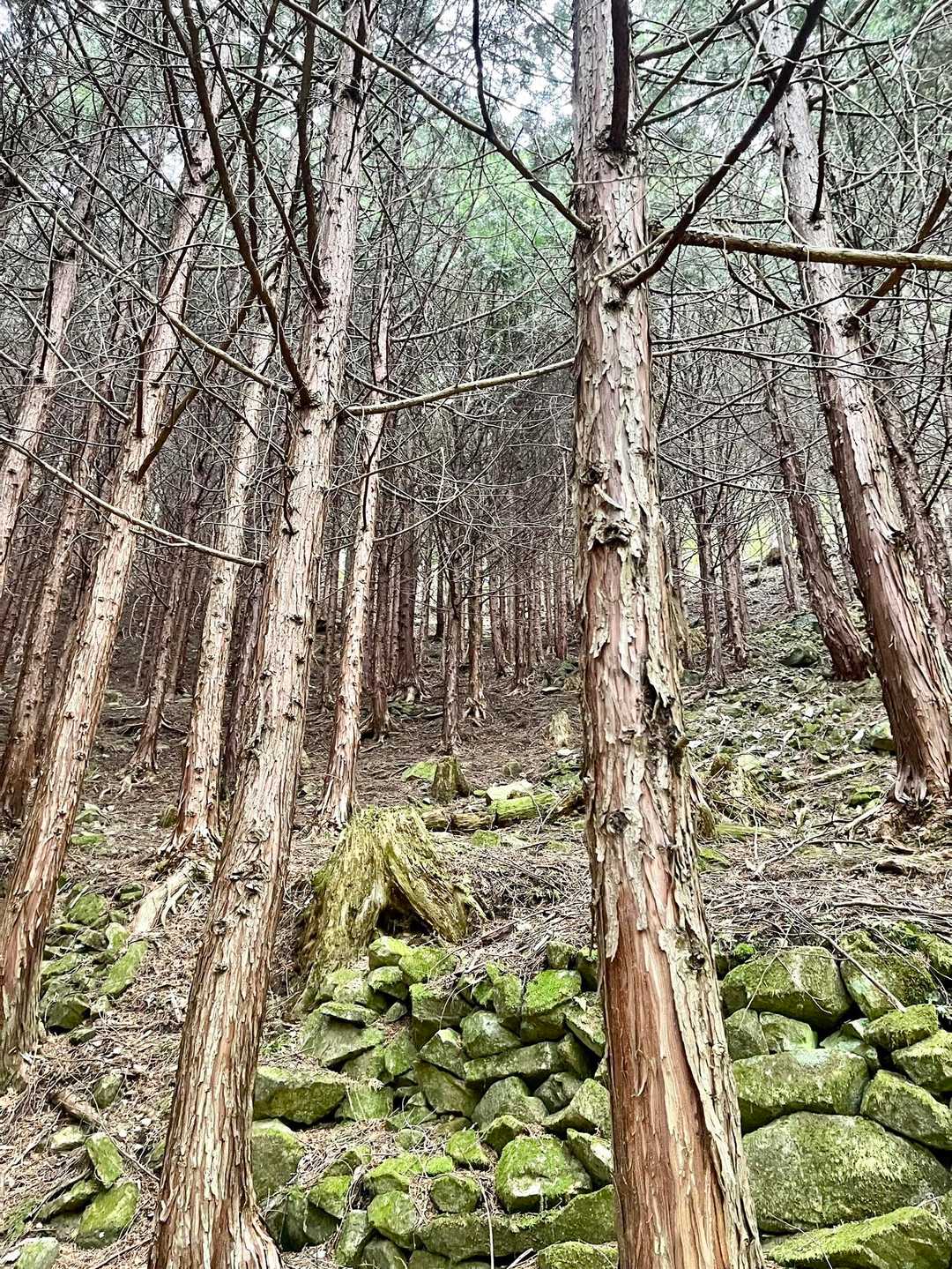 ほらっ❗️キツそうでしょ‼️