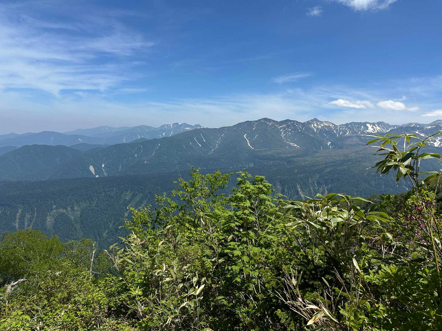 あんなに真っ白だったのに、いつの間にか融けて、いつの間にか夏になってたね。
そう思わない？