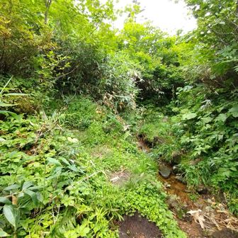 わかりにくいけど左が周回路、右が神の田圃
せっかくなので右へ
