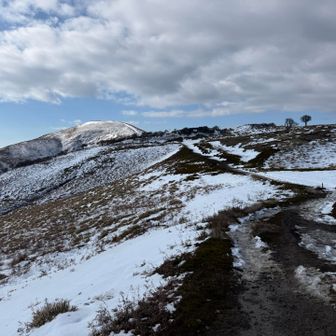 近づいてきた😊