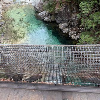 吊り橋を渡ります。危険なところは1人だと心細い😅