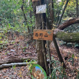 この辺り　少し帰り道迷いました😸