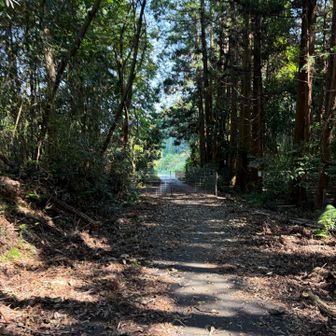 登山口まで戻ってきました〜♪