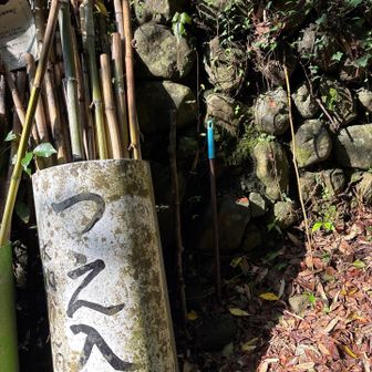 お世話になった、クモの巣払いの竹枝(右端)ありがとう😊