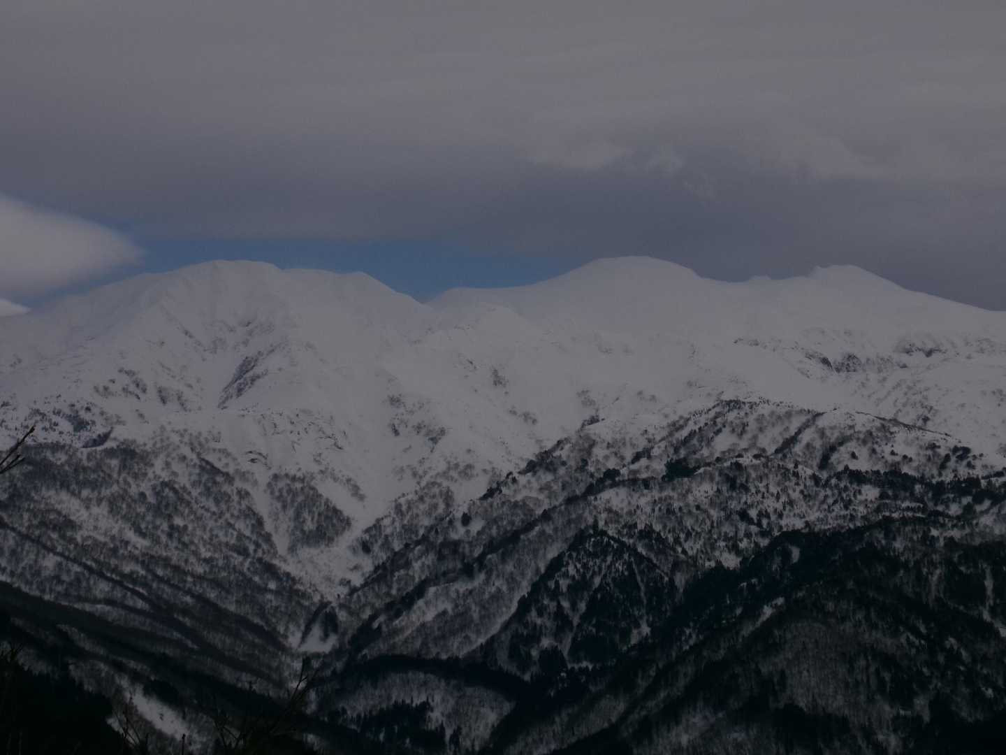 西山 周回コースの写真