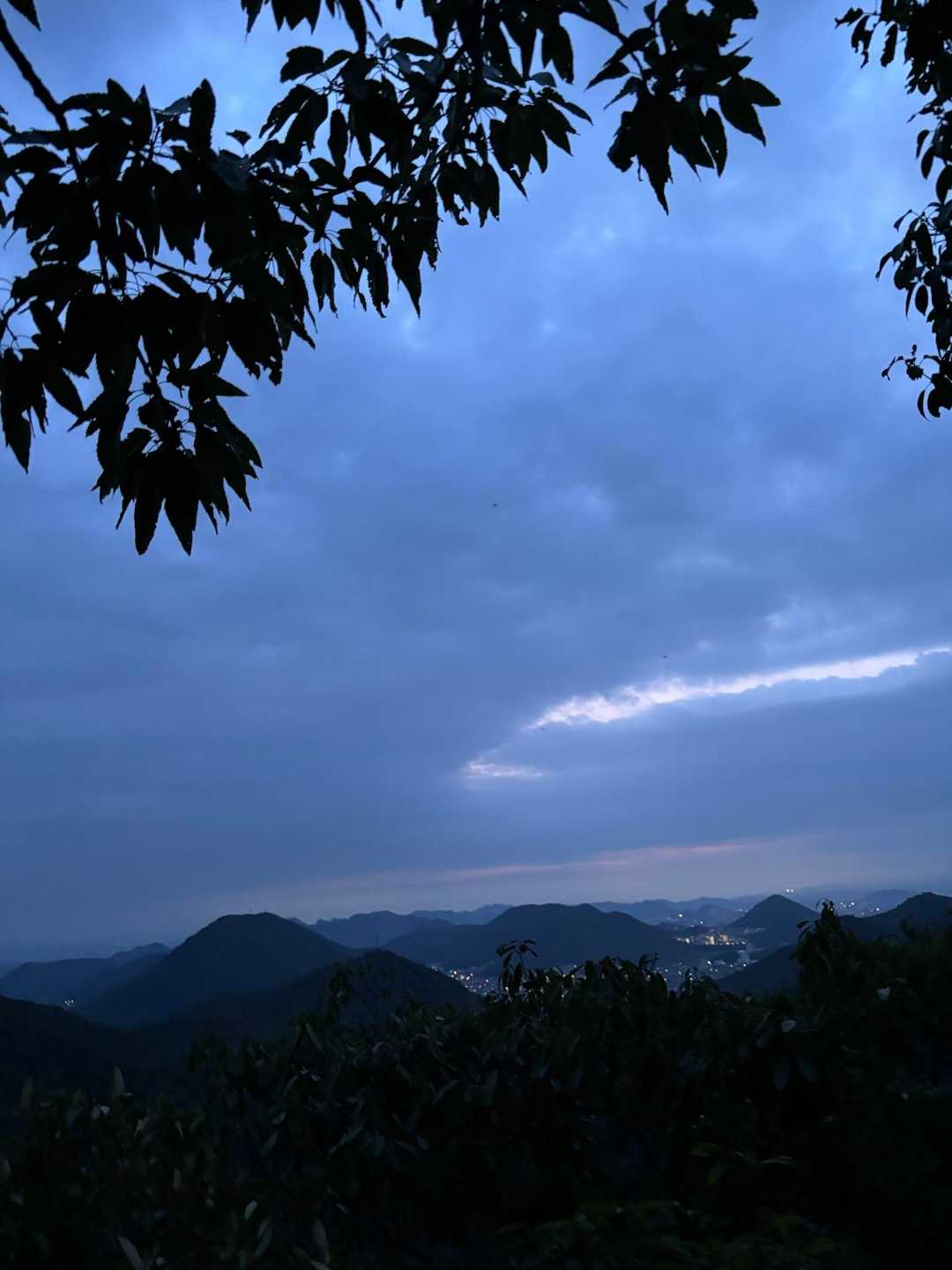 妙見峠-金華山-山頂駅 周回コースの写真