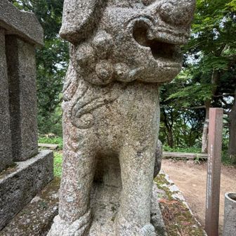 恒例の狛犬チェック。啊形も