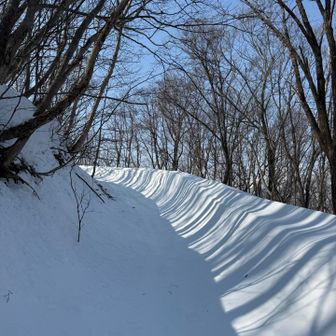 リュージュのコース🛷になってる！