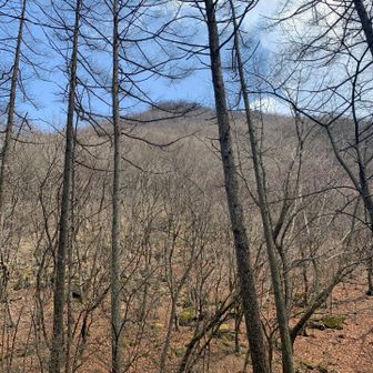 あれかな。
ロックオン❗️