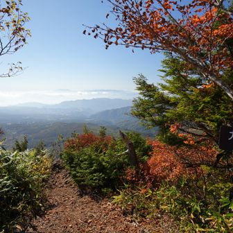 九頭竜山山頂