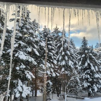 部屋の窓から📷️