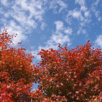 若草山・芳山・高円山 150円払ってゲザン