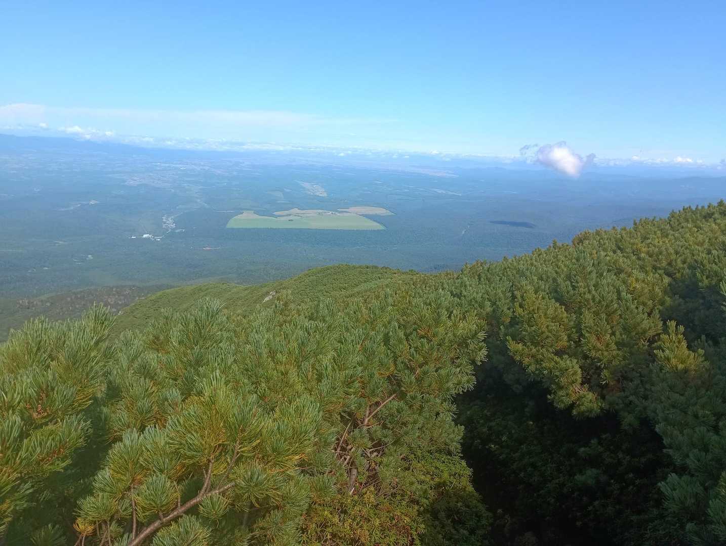 望岳台登山口-美瑛岳 往復コースの写真