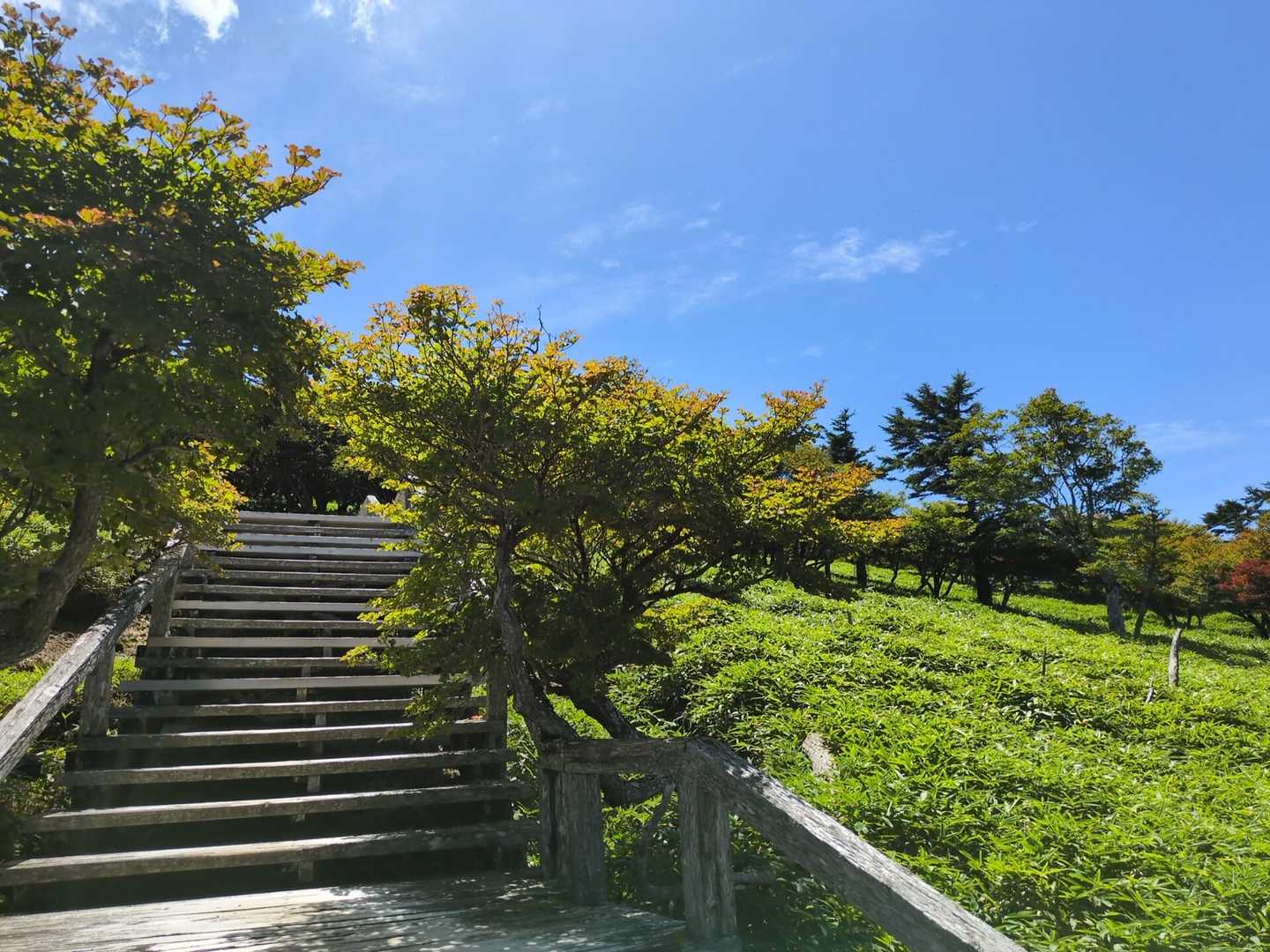 大台ヶ原山-大台ヶ原バス停 縦走コースの写真