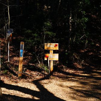 右の日和田山へ