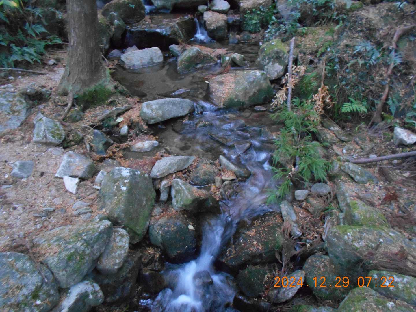 鷲下登山口-馬越峠-便石山 往復コースの写真