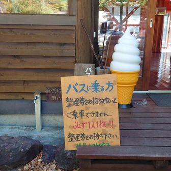 バスは予約していても整理券が必要です。
早めについて空いていたら振り替えてもらえます。