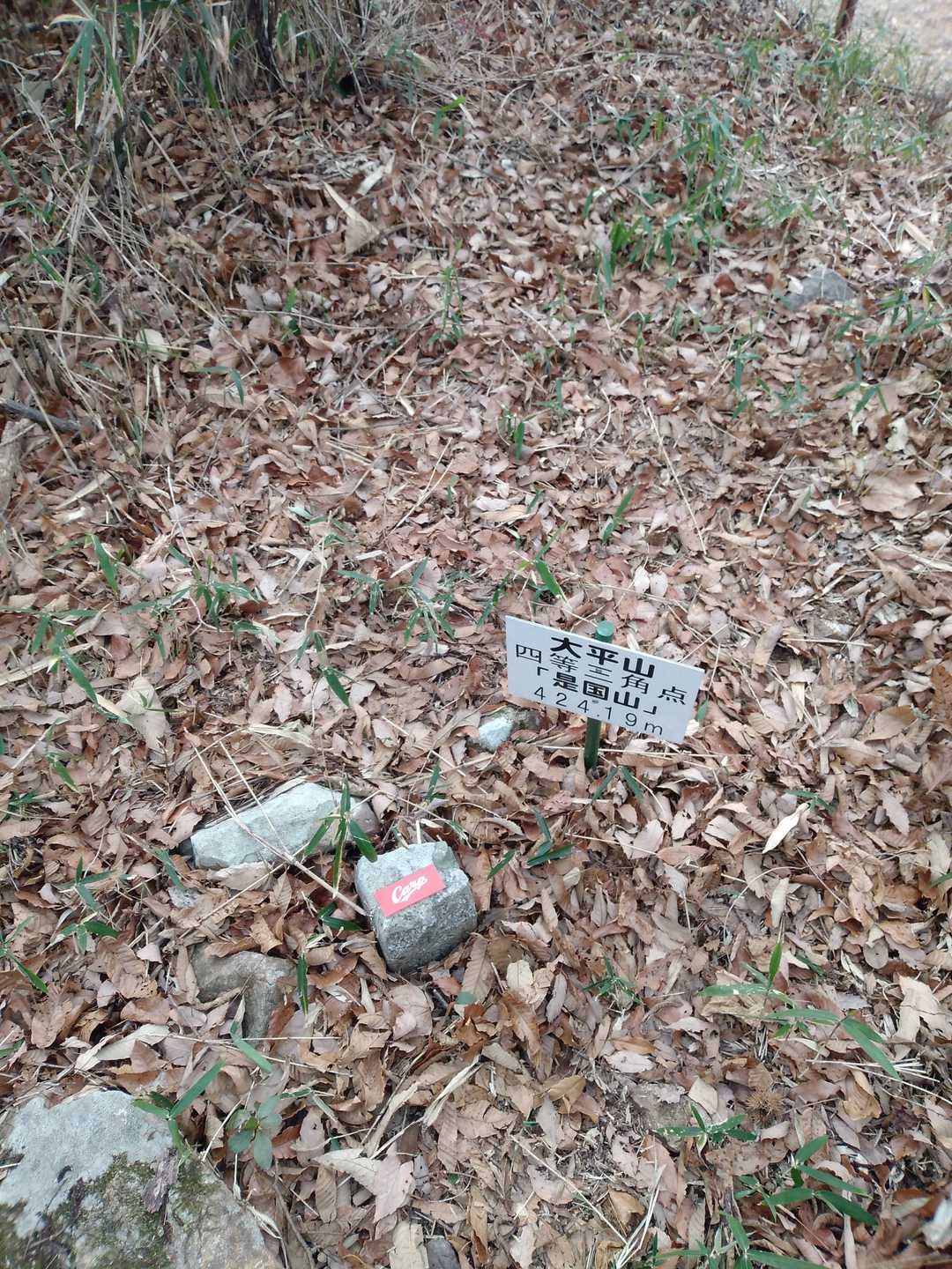 ！！！急募！！！
求ム！！！アルバイト！！！
！！！！4番バッター！！！！
稼げる仕事です！！！

職種：カープの勝敗を背負えるバットマン
勤務地：広島、東京、横浜、名古屋、西宮、等全国
時給：1打席10万円（結果によってインセンティブあり）
勤務時間：12：00~0：00
休日：基本的に無し
住居：シティータワー広島52階球団支給
その他：オールスターまでの一軍は確約


