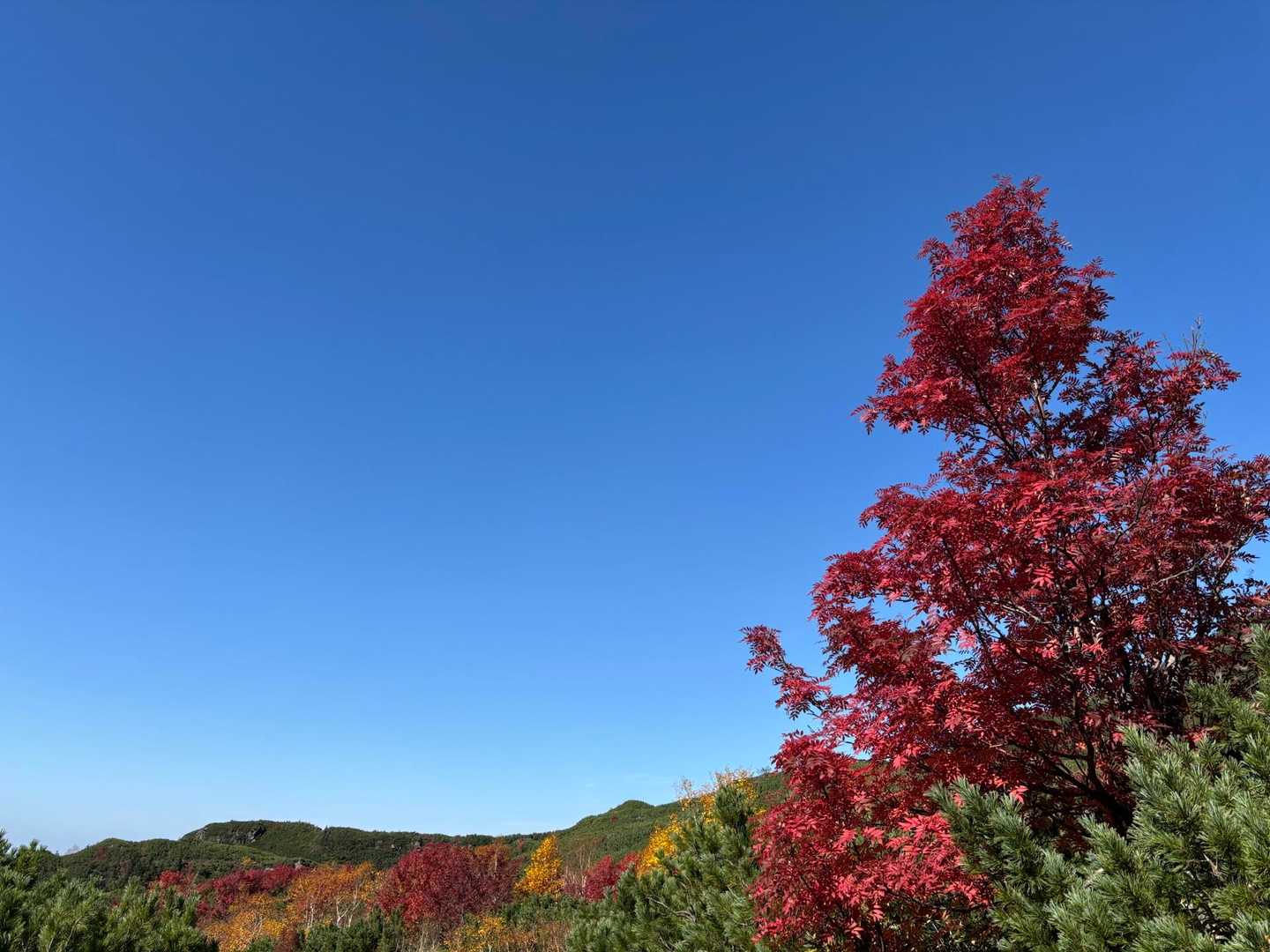 三段山 往復コースの写真