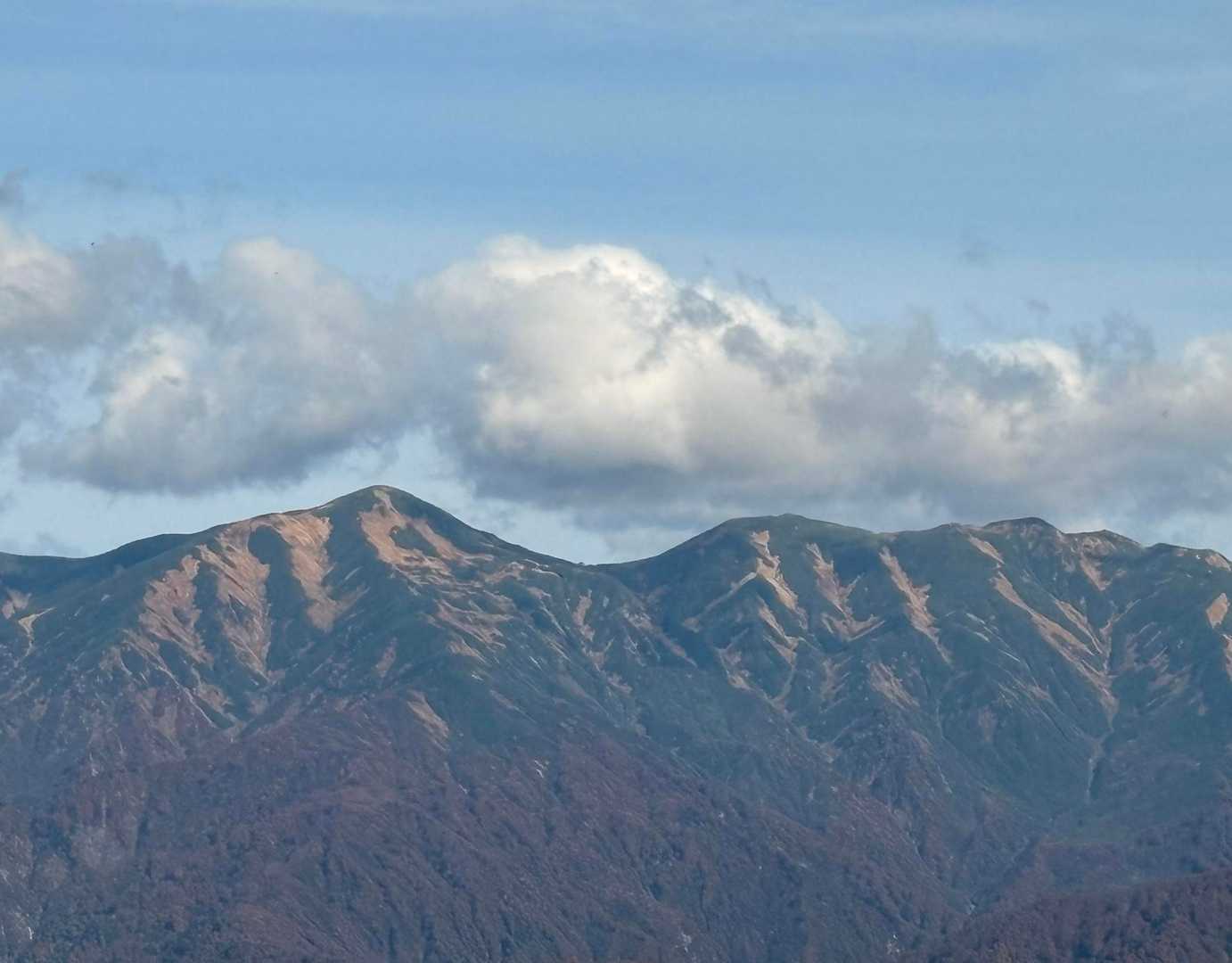 前日は模様がハッキリ見えていなかったが鮮明に見える😍
