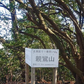 親鸞山山頂標識