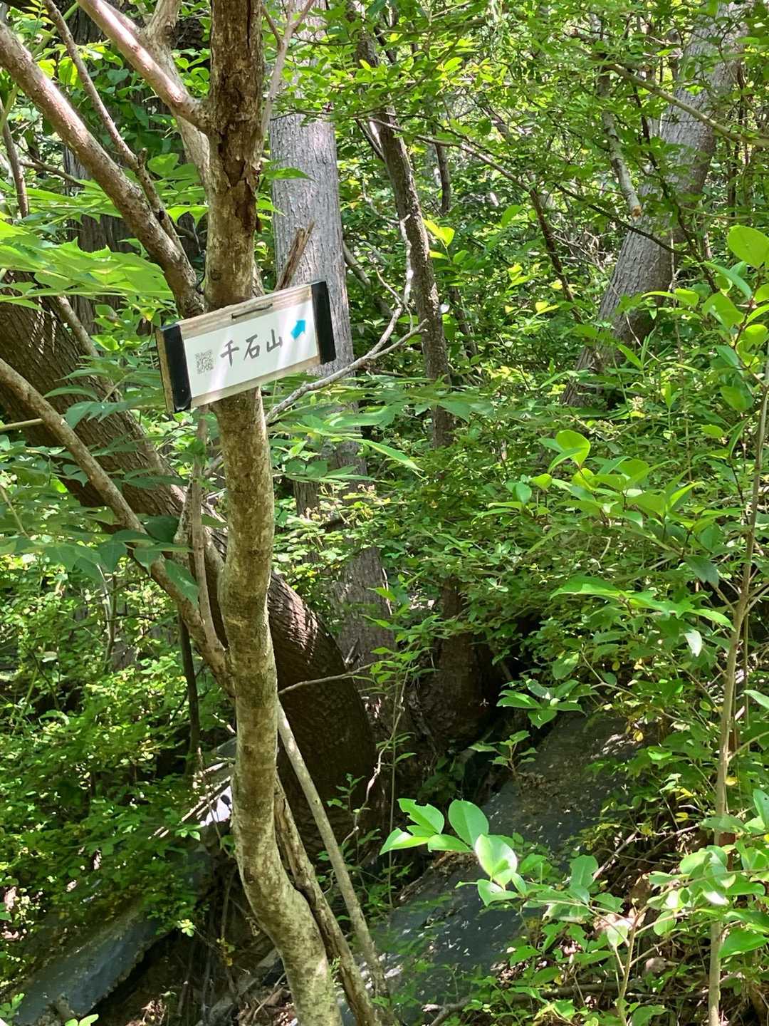 ここから行きます