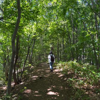 山に入ると涼しい🌿
偶然に同じワークマンハット着用でした笑