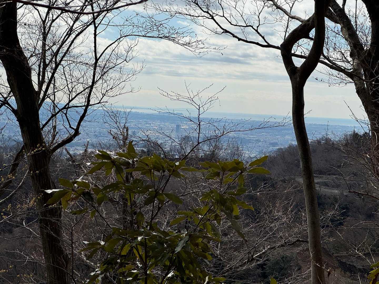 だいぶ登りました
江ノ島が見えるよ！