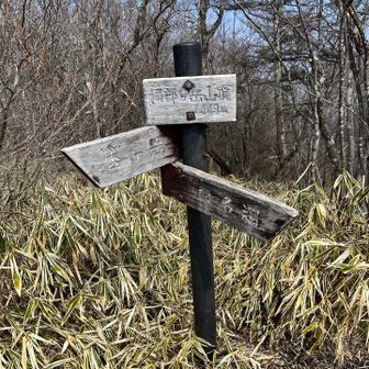 掃部ヶ岳、榛名山の最高峰ですがチープな看板…群馬県さん、県を代表する山なのでもうちょっと立派な山名板を設置お願いします！