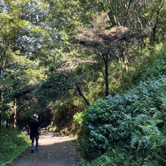 下りの途中からはロード