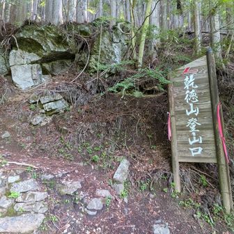 林道を歩いて登山口を通過