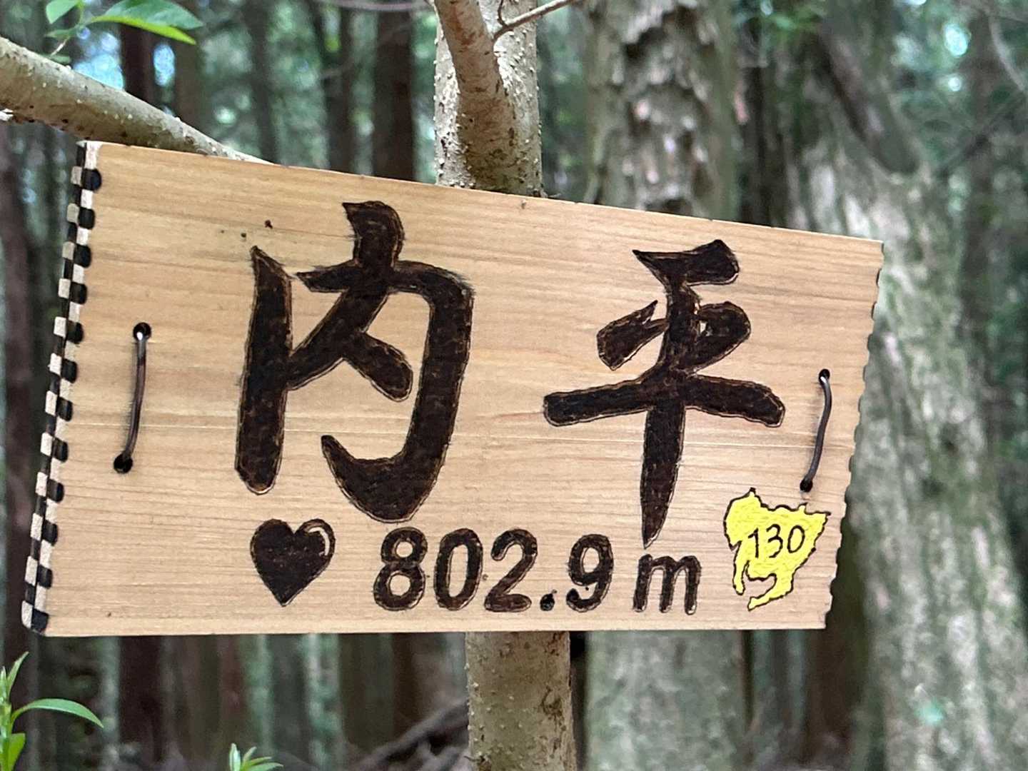 真新しい？