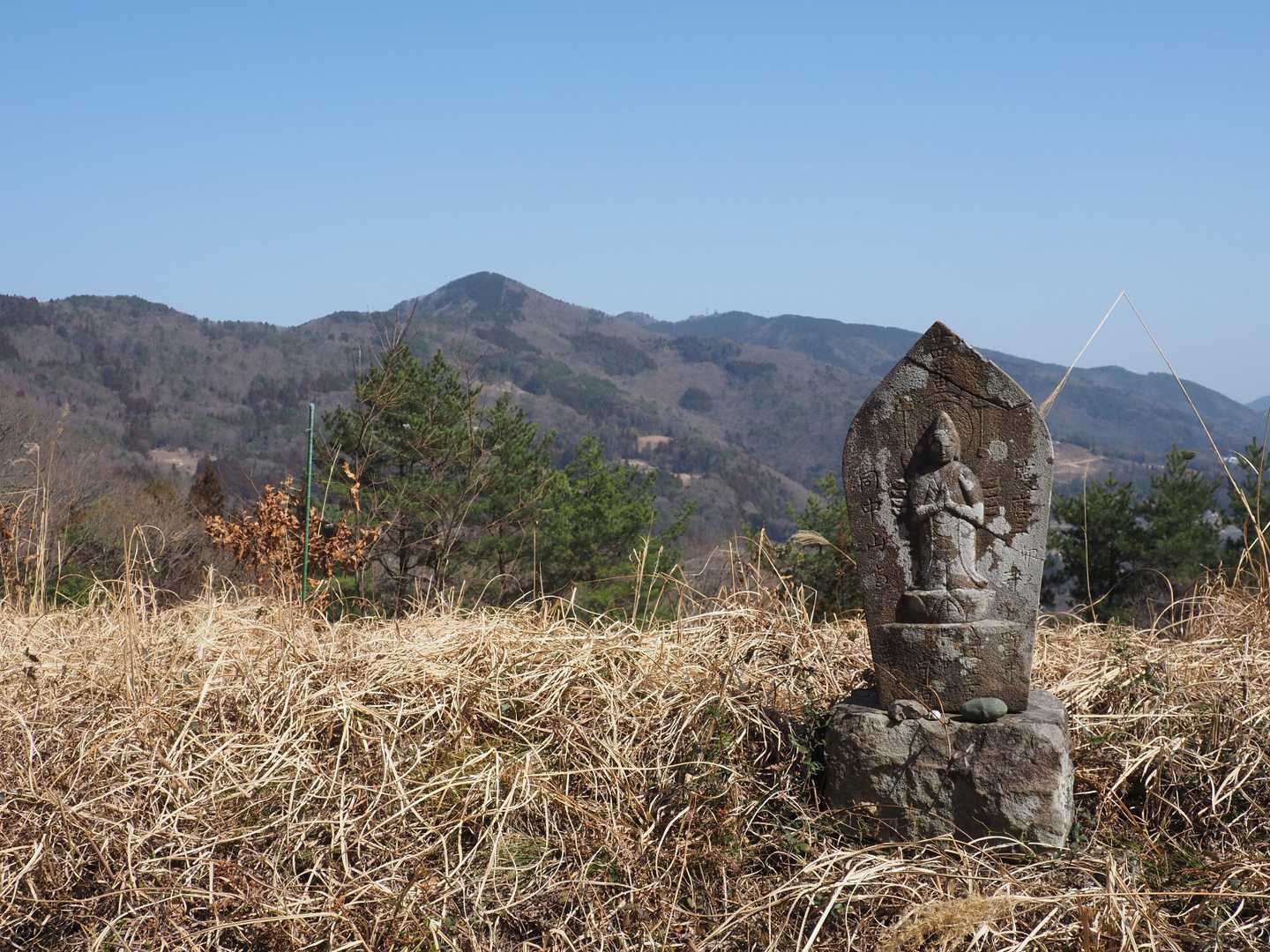 車道脇から竜王山方面
中央のピラミダルに見えているのが一等三角点（竜王山）のあるピーク、その右奥にちょこっと見えているのが阿波竜王だと思います🤔