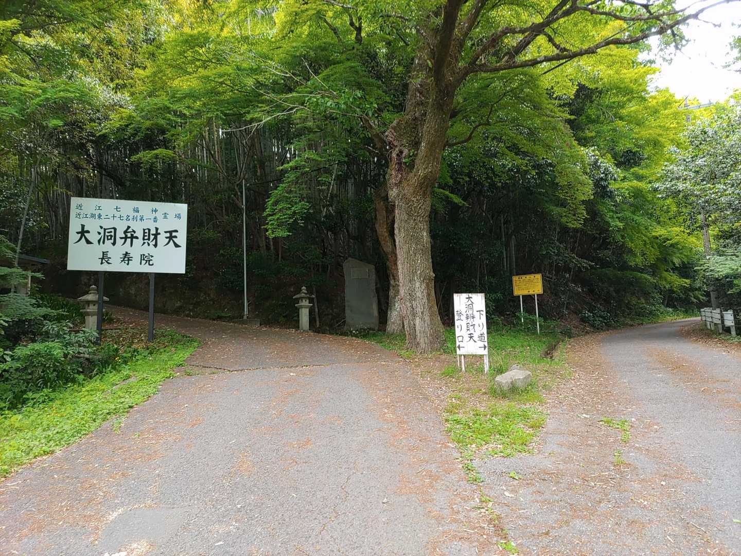 佐和山ピストンのつもりが間違えてこっちから